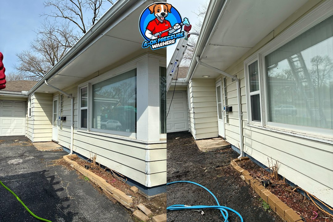 Full Exterior Cleaning Just in Time for a Home Showing in Homewood, IL