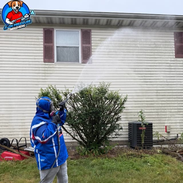 Siding Cleaning Service